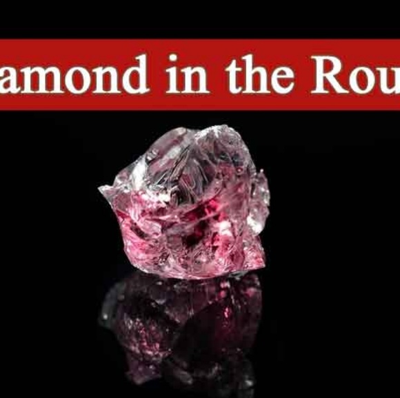 Meet your Posher, Neemah - Picture 1 of 1